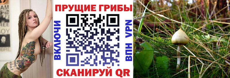 Галлюциногенные грибы мицелий Томари