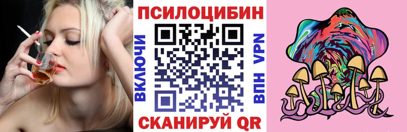 Псилоцибиновые грибы Psilocybe  Купить закладки  Томари 